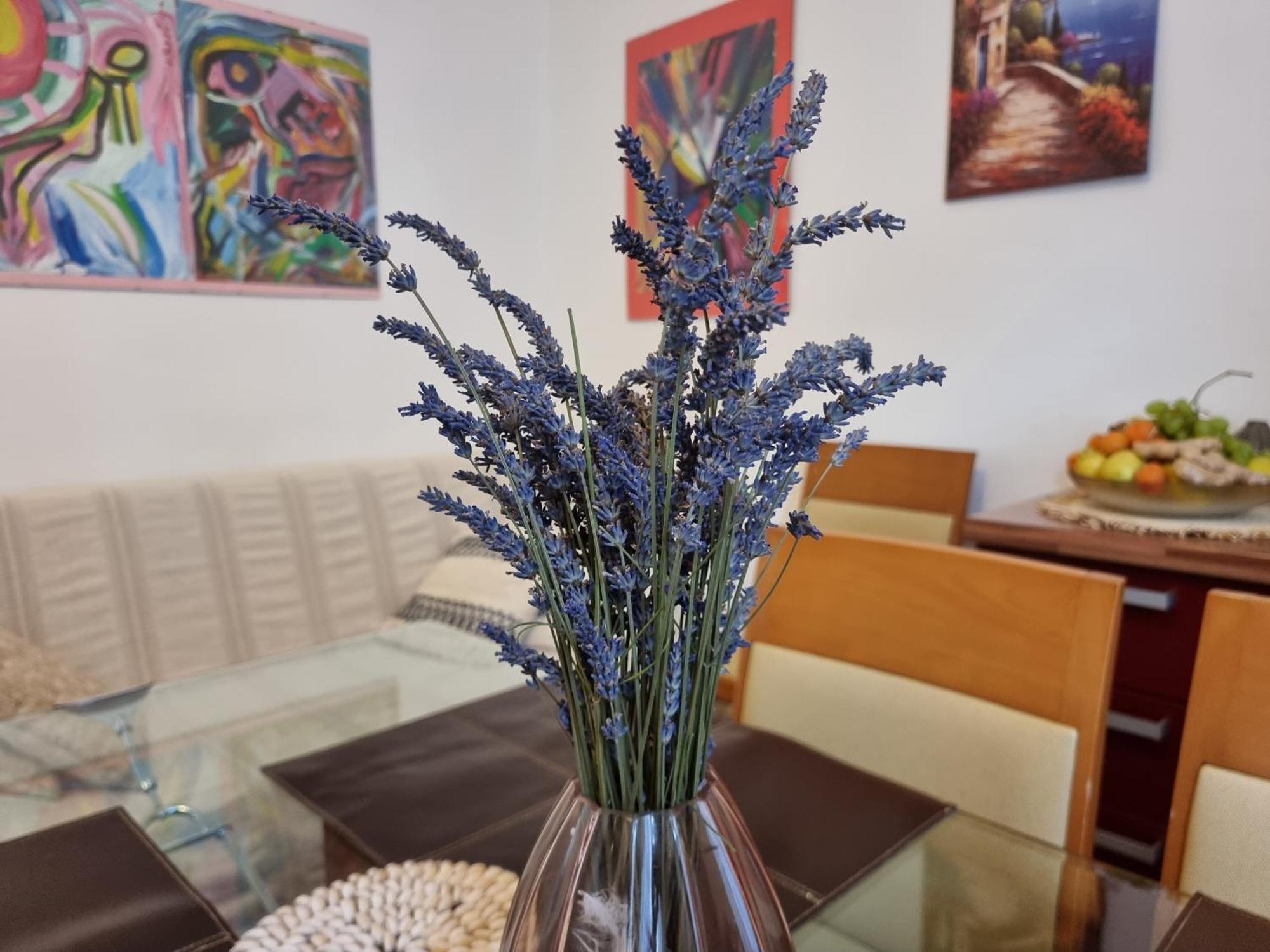 ***Apartment Magic &Summervibes*** Ριέκα Εξωτερικό φωτογραφία