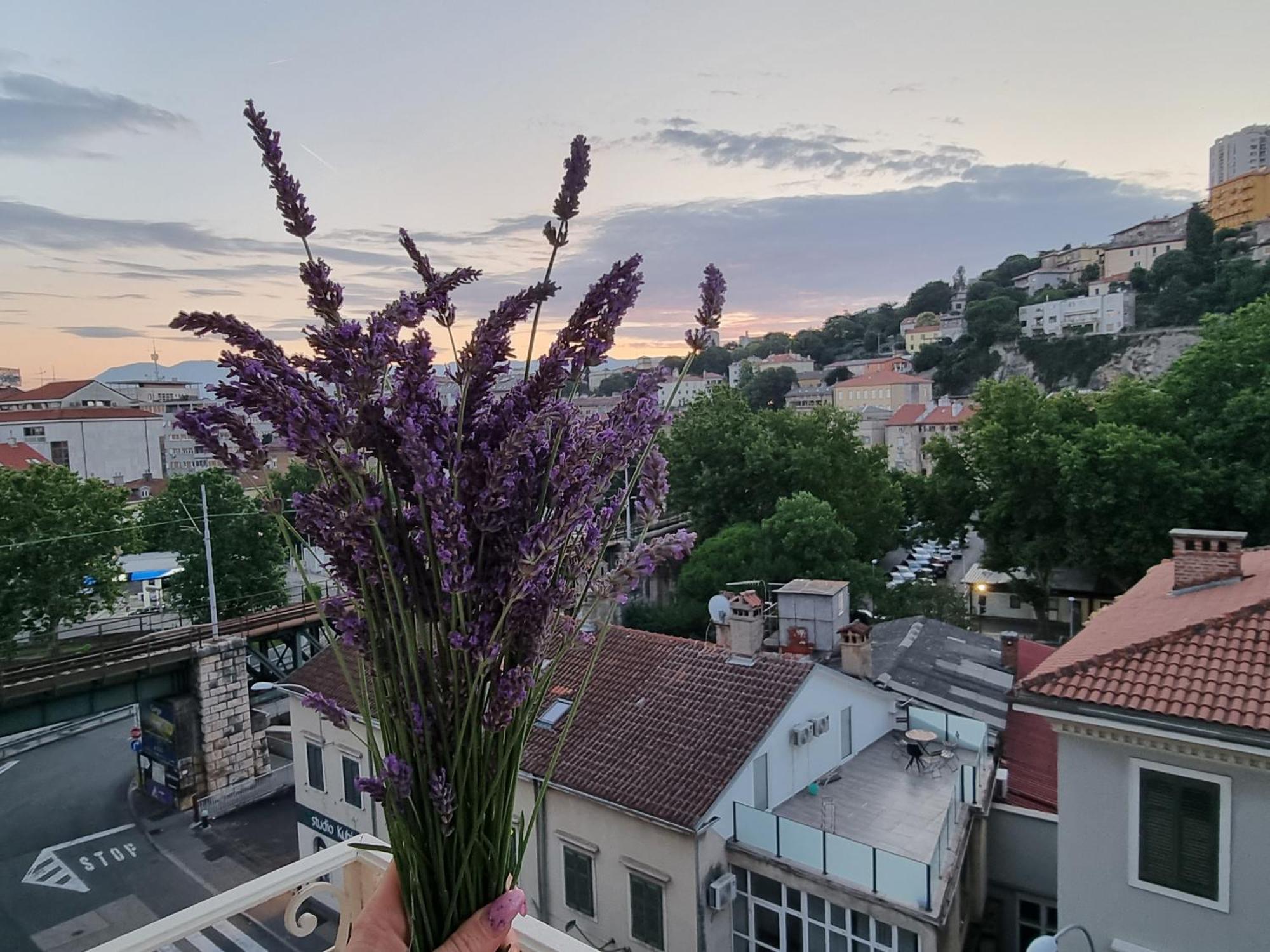 ***Apartment Magic &Summervibes*** Ριέκα Εξωτερικό φωτογραφία