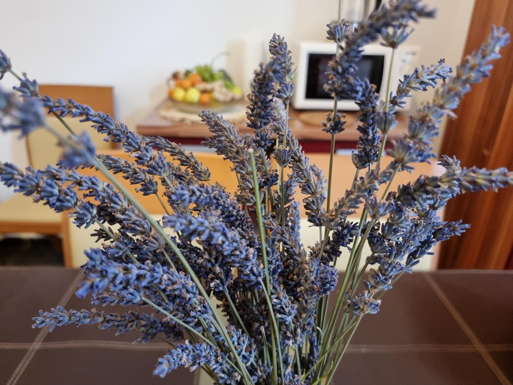 ***Apartment Magic &Summervibes*** Ριέκα Εξωτερικό φωτογραφία